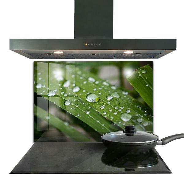 Küchenrückwand Spritzschutz Tautropfen auf dem Gras