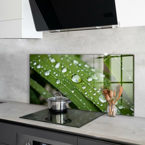 Küchenrückwand Spritzschutz Tautropfen auf dem Gras