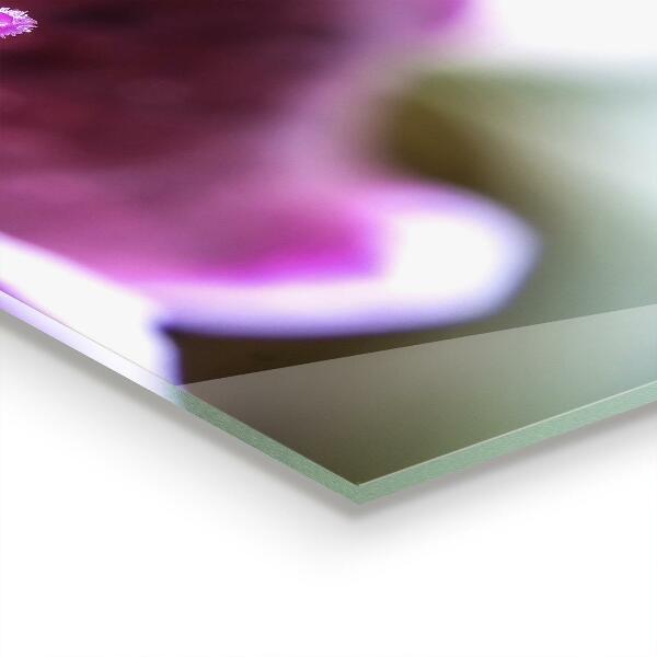 Küchenrückwand Spritzschutz Rosa Blumen-Naturdetails