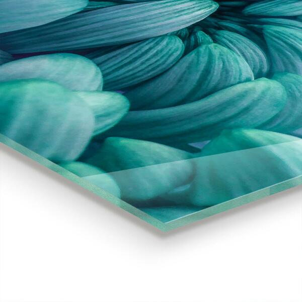 Küchenrückwand Spritzschutz Blaue Chrysantheme