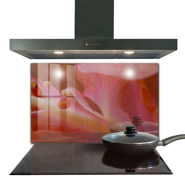 Küchenrückwand Spritzschutz Blütenpollen Natur