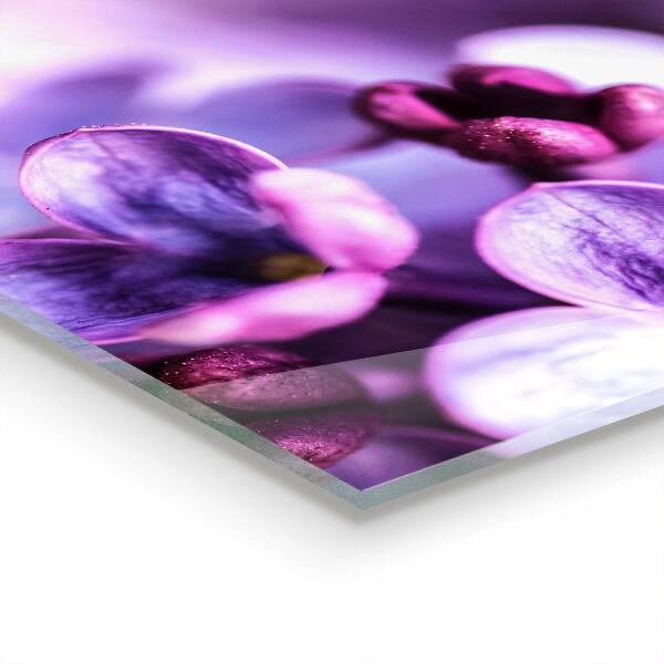 Küchenrückwand Spritzschutz Lilane Blumen