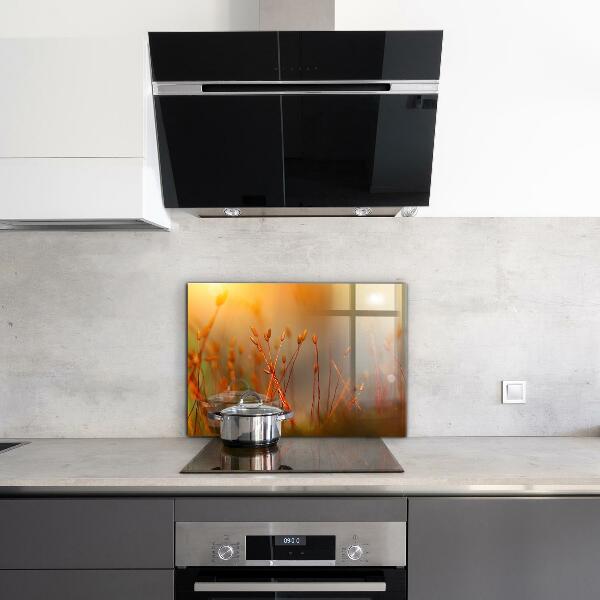 Küchenrückwand Spritzschutz Getreidefeld bei Sonnenuntergang