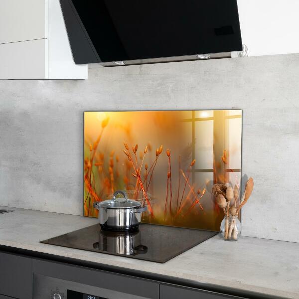 Küchenrückwand Spritzschutz Getreidefeld bei Sonnenuntergang