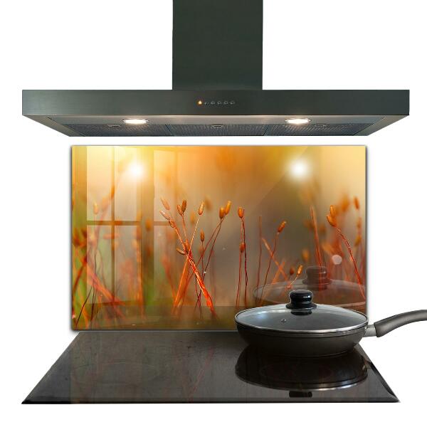 Küchenrückwand Spritzschutz Getreidefeld bei Sonnenuntergang