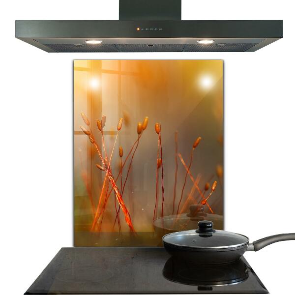 Küchenrückwand Spritzschutz Getreidefeld bei Sonnenuntergang