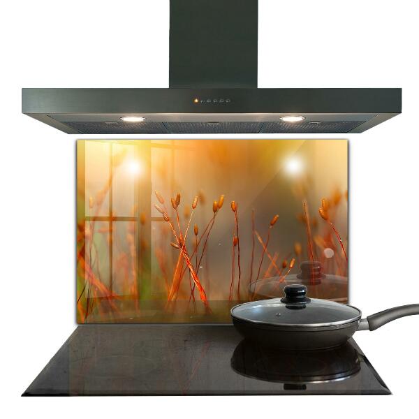 Küchenrückwand Spritzschutz Getreidefeld bei Sonnenuntergang