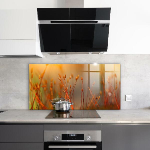 Küchenrückwand Spritzschutz Getreidefeld bei Sonnenuntergang