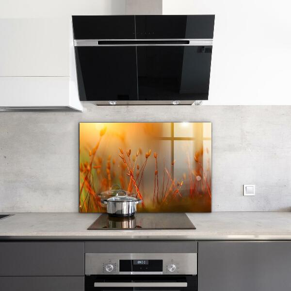 Küchenrückwand Spritzschutz Getreidefeld bei Sonnenuntergang