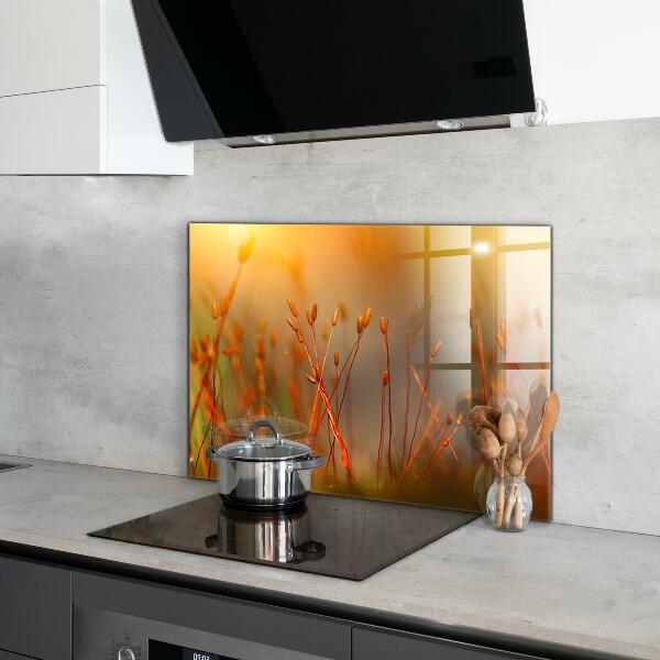 Küchenrückwand Spritzschutz Getreidefeld bei Sonnenuntergang