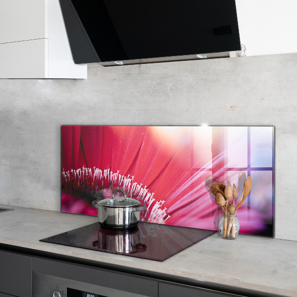 Küchenrückwand Spritzschutz Rosa Blumen-Naturdetails