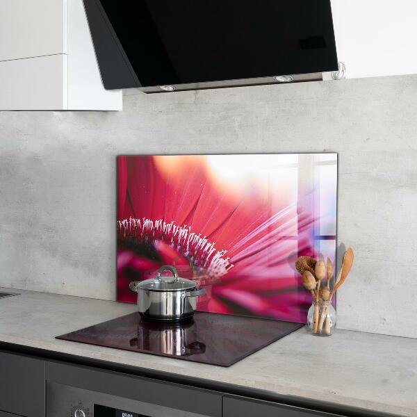 Küchenrückwand Spritzschutz Rosa Blumen-Naturdetails