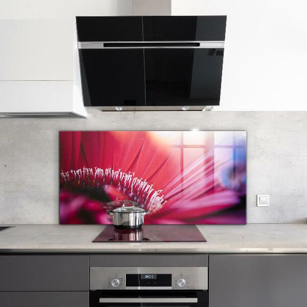 Küchenrückwand Spritzschutz Rosa Blumen-Naturdetails