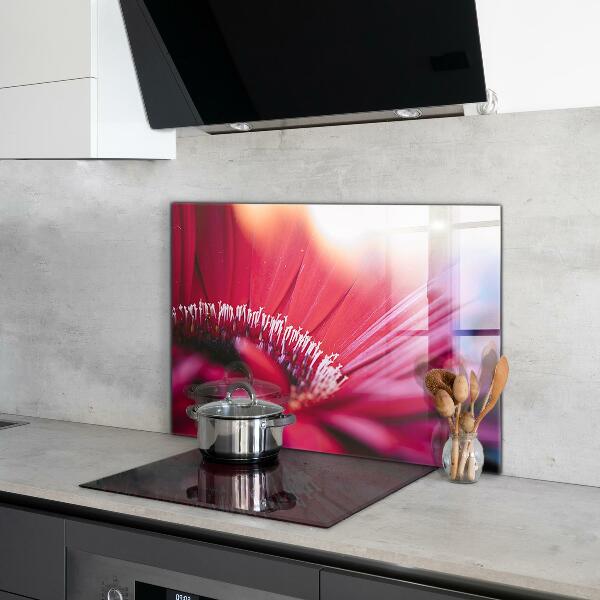 Küchenrückwand Spritzschutz Rosa Blumen-Naturdetails