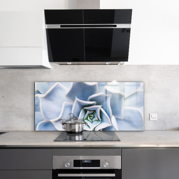 Küchenrückwand Spritzschutz Kaktus Sukkulente