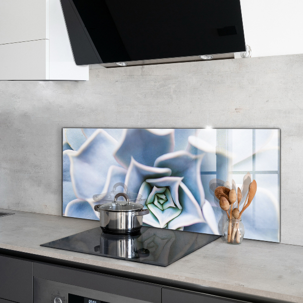 Küchenrückwand Spritzschutz Kaktus Sukkulente