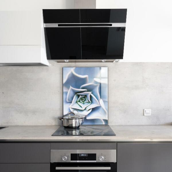 Küchenrückwand Spritzschutz Kaktus Sukkulente