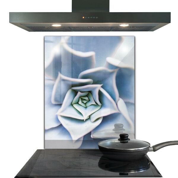 Küchenrückwand Spritzschutz Kaktus Sukkulente