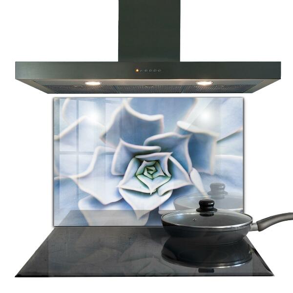 Küchenrückwand Spritzschutz Kaktus Sukkulente