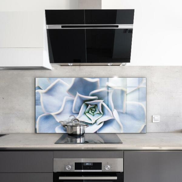 Küchenrückwand Spritzschutz Kaktus Sukkulente