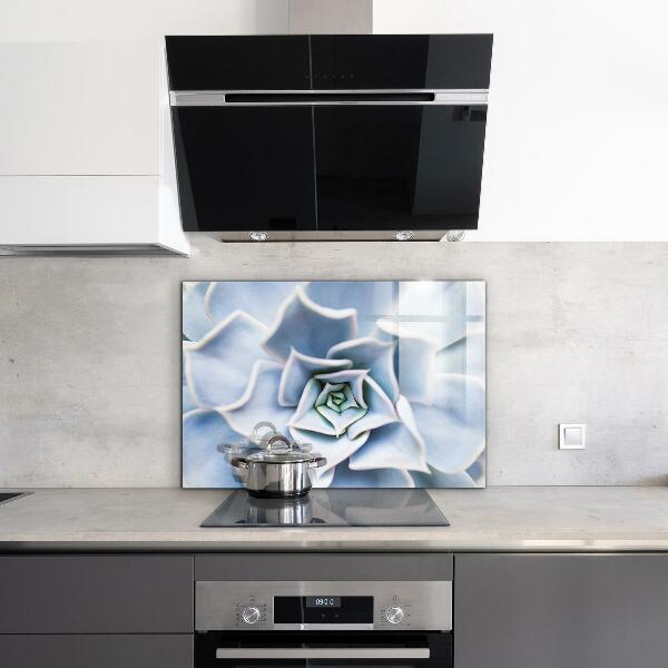 Küchenrückwand Spritzschutz Kaktus Sukkulente