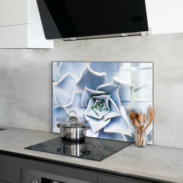 Küchenrückwand Spritzschutz Kaktus Sukkulente