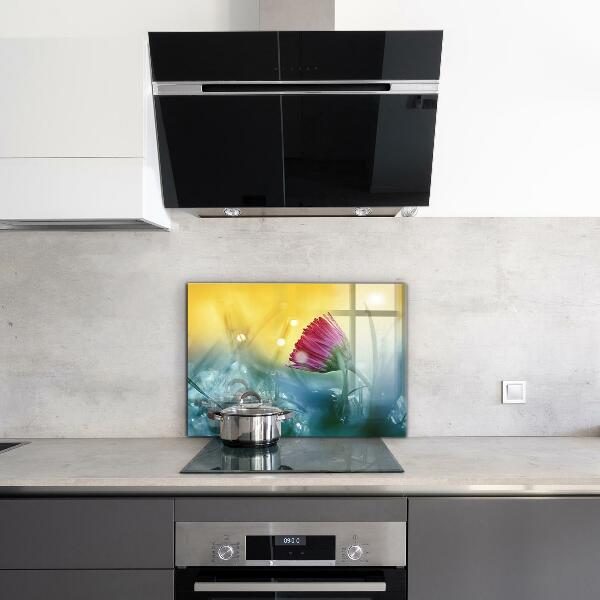 Küchenrückwand Spritzschutz Zartes Gänseblümchen auf der Wiese