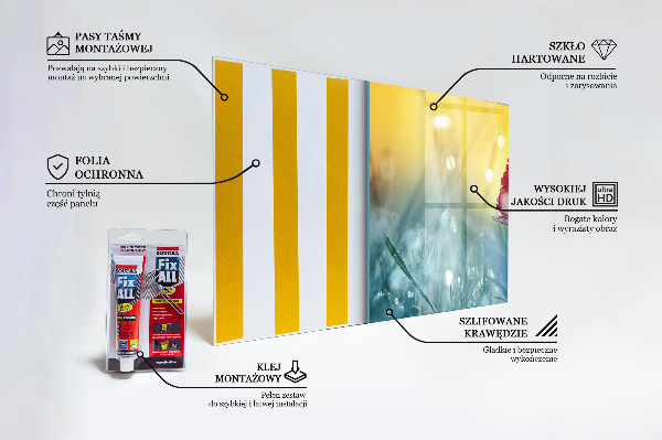 Küchenrückwand Spritzschutz Zartes Gänseblümchen auf der Wiese