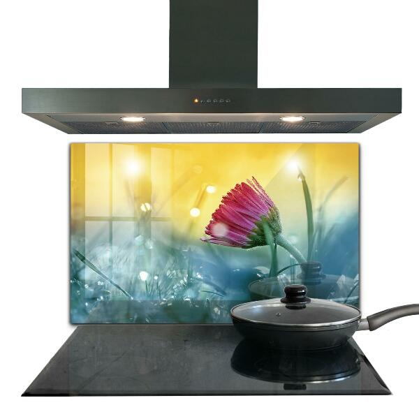 Küchenrückwand Spritzschutz Zartes Gänseblümchen auf der Wiese