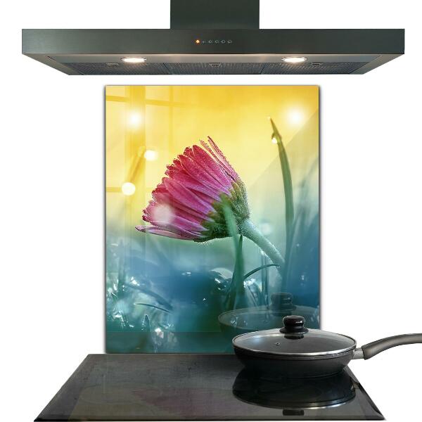 Küchenrückwand Spritzschutz Zartes Gänseblümchen auf der Wiese