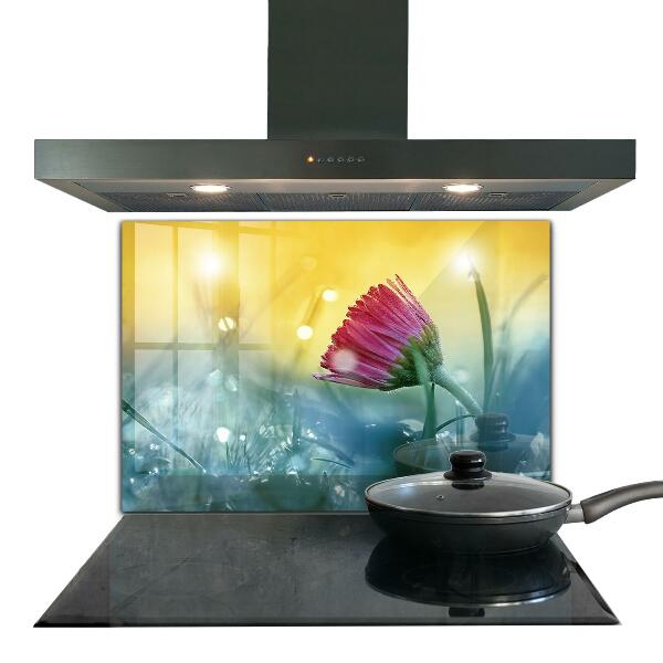 Küchenrückwand Spritzschutz Zartes Gänseblümchen auf der Wiese