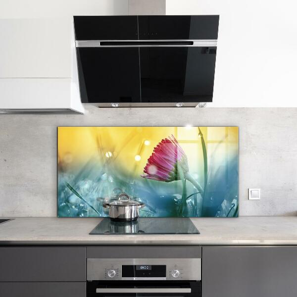 Küchenrückwand Spritzschutz Zartes Gänseblümchen auf der Wiese