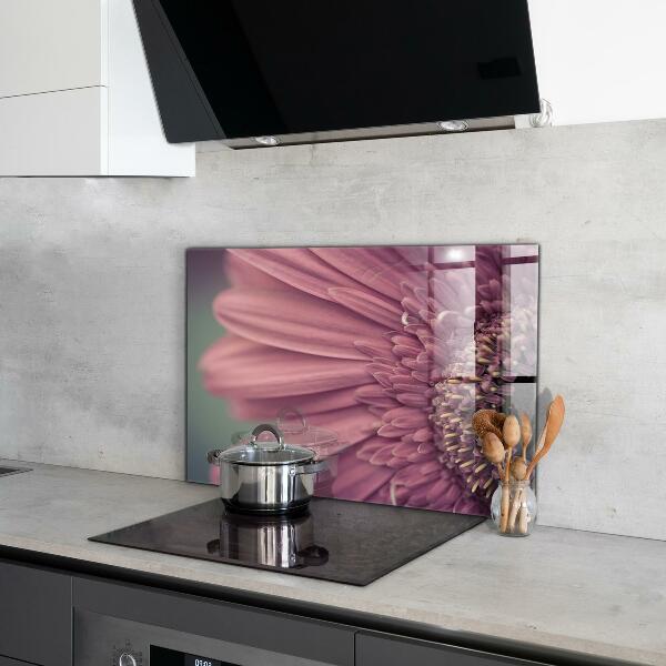 Küchenrückwand Spritzschutz Blume Margaretka Gerbera