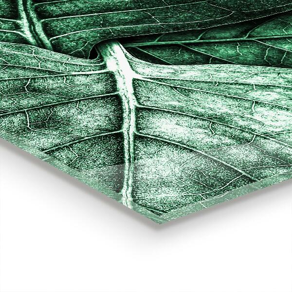 Küchenrückwand Fliesenspiegel Grüne Blattdetails