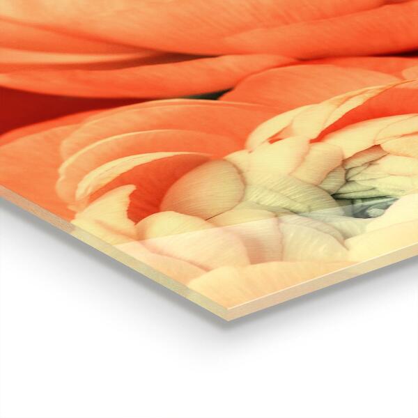 Küchenrückwand Fliesenspiegel Orangefarbene Butterblumenblume