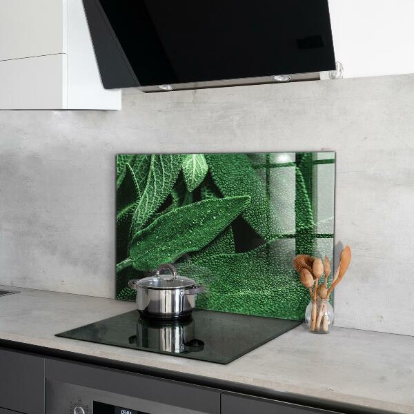 Küchenrückwand Fliesenspiegel Grüne Blätter nach Regen
