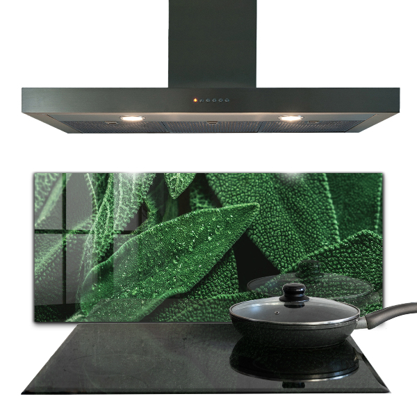 Küchenrückwand Fliesenspiegel Grüne Blätter nach Regen