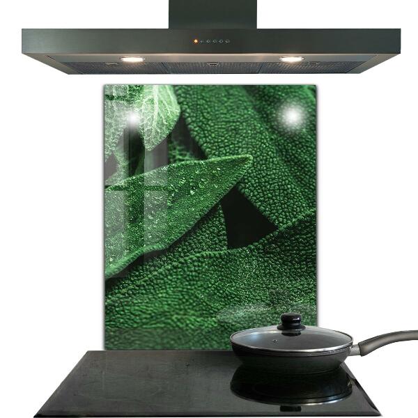 Küchenrückwand Fliesenspiegel Grüne Blätter nach Regen