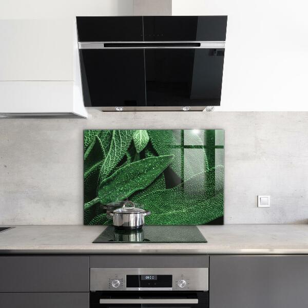 Küchenrückwand Fliesenspiegel Grüne Blätter nach Regen