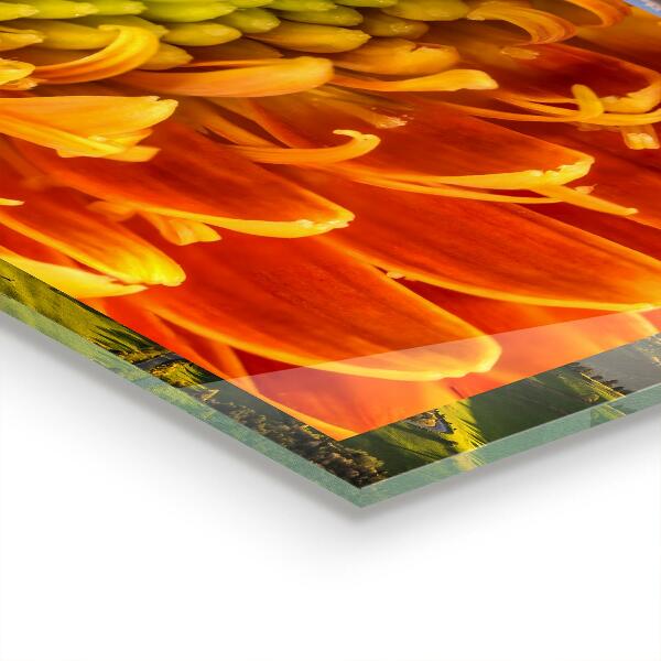 Küchenrückwand Fliesenspiegel Gerbera-Blume Orange