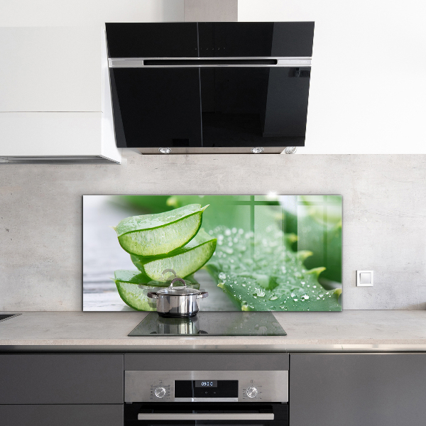 Küchenrückwand Fliesenspiegel Aloe Aloe Vera Pflanze