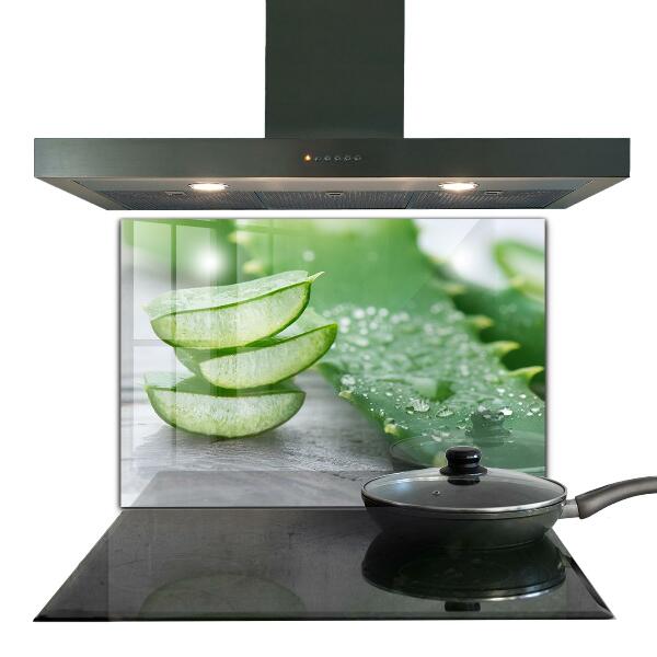 Küchenrückwand Fliesenspiegel Aloe Aloe Vera Pflanze