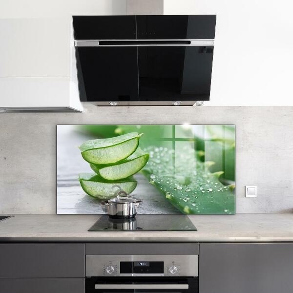 Küchenrückwand Fliesenspiegel Aloe Aloe Vera Pflanze