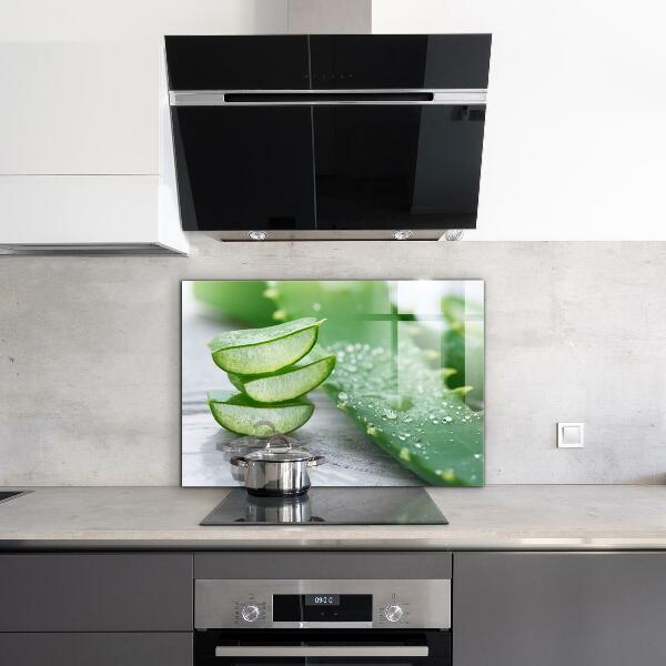 Küchenrückwand Fliesenspiegel Aloe Aloe Vera Pflanze