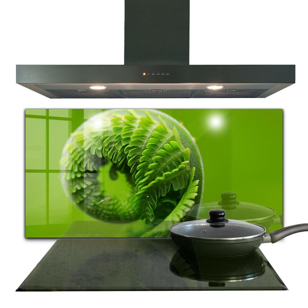 Küchenrückwand Fliesenspiegel Grünes Farnblatt