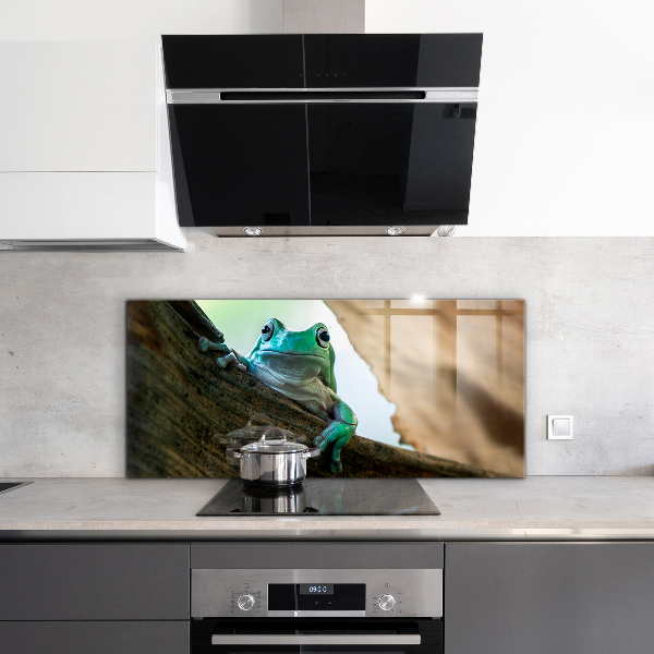 Küchenrückwand Spritzschutz Neugieriger Frosch auf einem Blatt