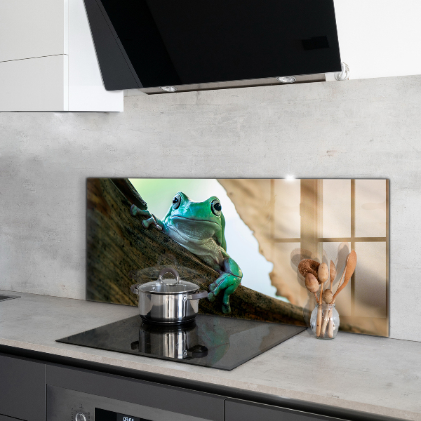 Küchenrückwand Spritzschutz Neugieriger Frosch auf einem Blatt