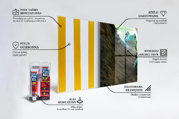 Küchenrückwand Spritzschutz Neugieriger Frosch auf einem Blatt