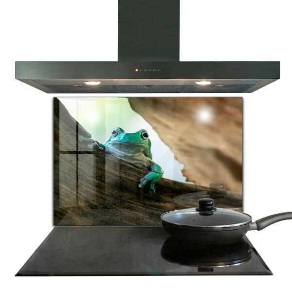 Küchenrückwand Spritzschutz Neugieriger Frosch auf einem Blatt