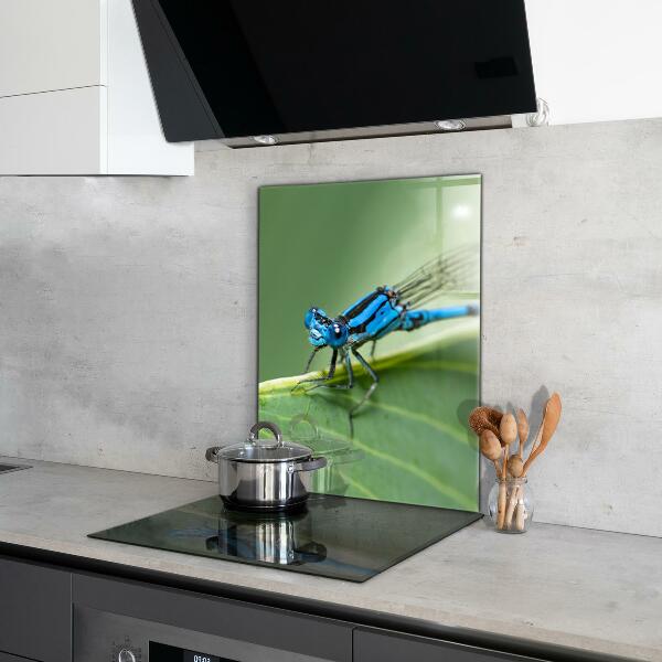 Küchenrückwand Spritzschutz Libelle auf Blatt